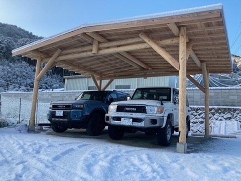 �ؐ��J�[�|�[�g�@�{�H����